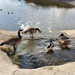Back Bay Loop Trail - Back Bay Residents