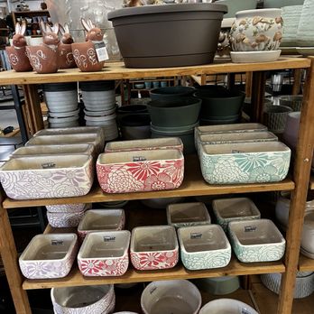 The Garden Place - Nice variety of pots too - Nurseries & Gardening Near Me - Estero, Florida The Garden Place - Nice variety of pots too - Nurseries & Gardening Near Me - Estero, Florida