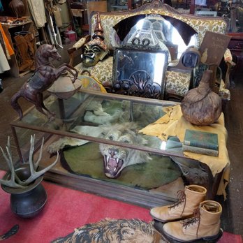 Savoy Special Vintage - Excellent lion rug display. - Used, Vintage & Consignment Near Me - Tacoma, Washington Savoy Special Vintage - Excellent lion rug display. - Used, Vintage & Consignment Near Me - Tacoma, Washington
