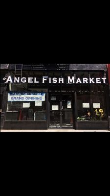 Angel Fish Market by null