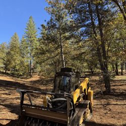 Westlake Land Management - Mastication in Applegate