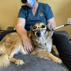 Exton Vet Clinic