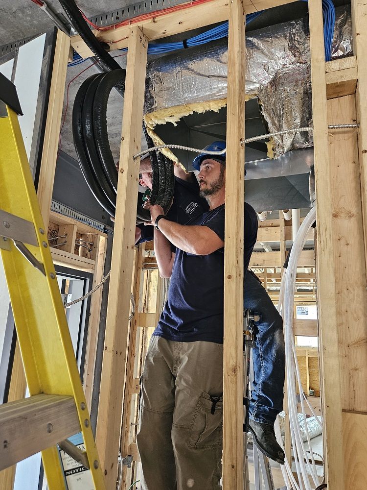 Slide of TE Spall & Son