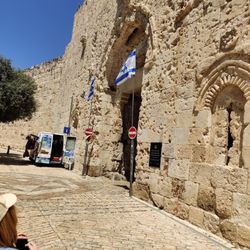Pilgrim Tours