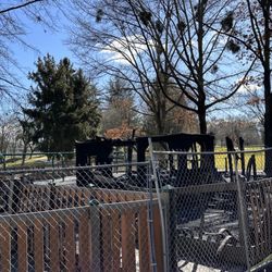 Bear Creek Park - Play structure for littlest kids was burned on or about Feb 8, 2023. Hopefully they'll replace it soon.