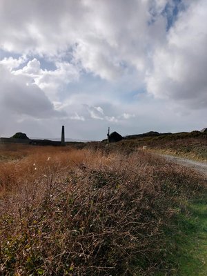 Godrevy Lighthouse by null