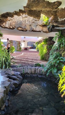 Jameos del Agua by null