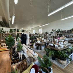 Staghorn Mercantile - Interior