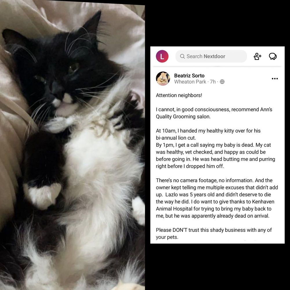 ANN’S QUALITY GROOMING Updated August 2024 8351 Rockville Pike