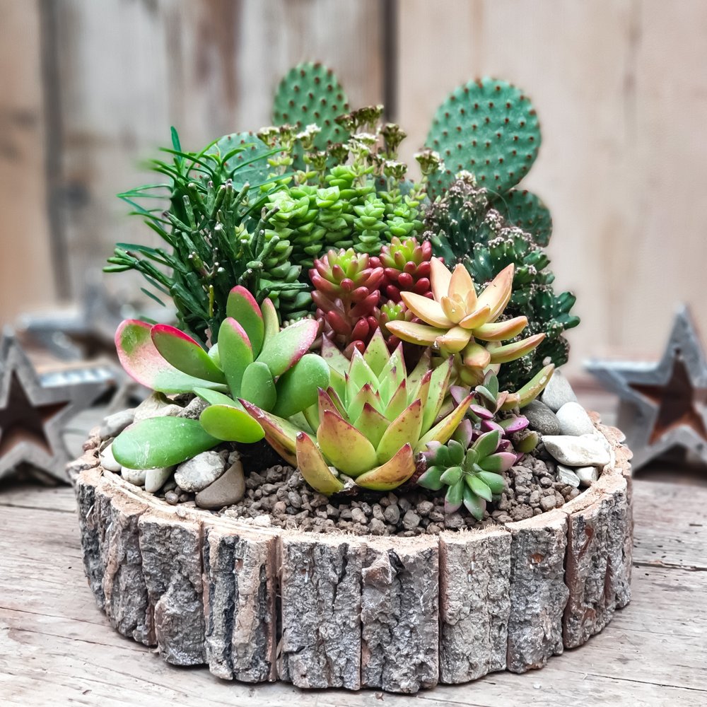 TOP 10 BEST Home \u0026 Garden in Levane, Arezzo, Italy - Updated 2025 - Yelp, image size:1000x1000