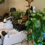 Alva's Hair & Nail Salon