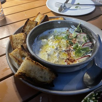 Sofia - House Ricotta - Italian Near Me - New Orleans, Louisiana Sofia - House Ricotta - Italian Near Me - New Orleans, Louisiana