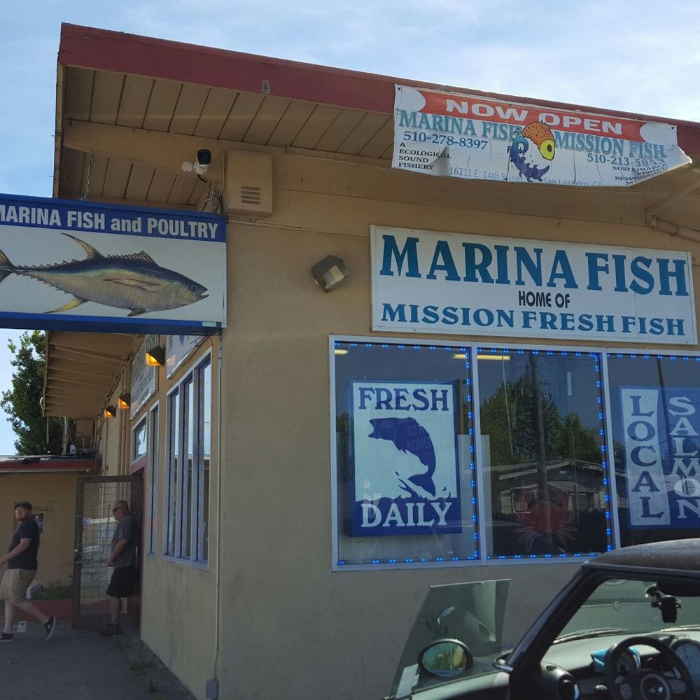 Marina Fish - Exterior - Seafood Markets Near Me - San Leandro, California Marina Fish - Exterior - Seafood Markets Near Me - San Leandro, California