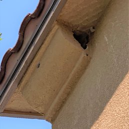 This is the hole that birds pecked into the side of my home.
