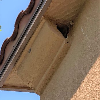 Pro Master Painting - This is the hole that birds pecked into the side of my home. - Painters Near Me