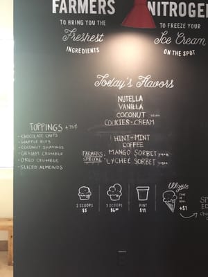 Lulu's Nitrogen Ice Cream by null