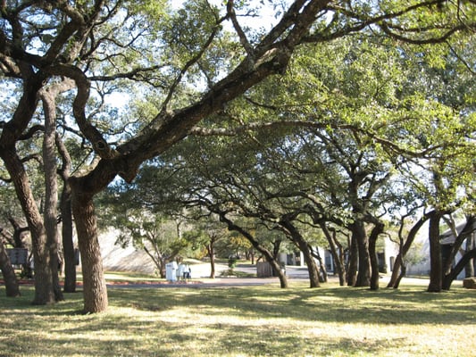Sid Mourning Tree Service