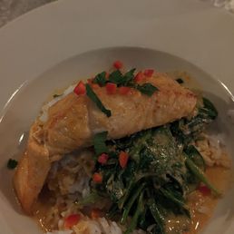 Salmon