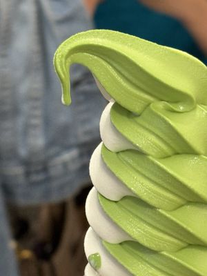 Kyo Matcha by null
