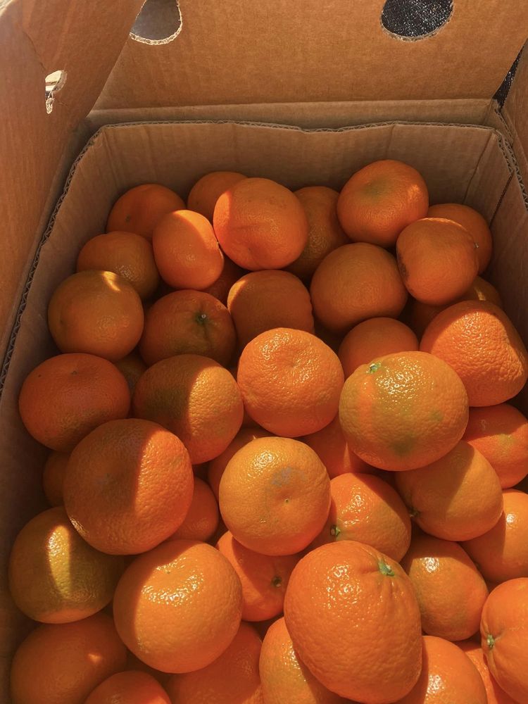 CALIFORNIA PRODUCE Updated May 2024 14 Photos 2930 Las Vegas Blvd