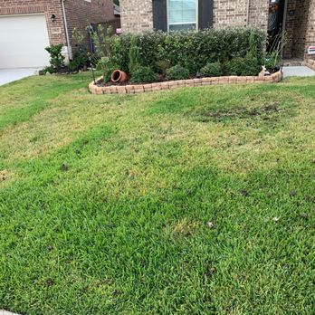 TruGreen Lawn Care - Tree Services Near Me - Sugar Land, Texas TruGreen Lawn Care - Tree Services Near Me - Sugar Land, Texas