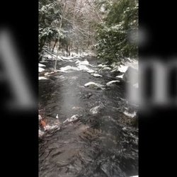 The Fly Fishing Contractor