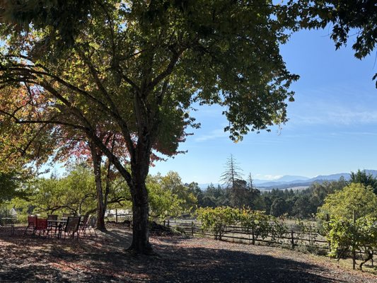 Springhill Cellars Winery (Open May-December) by null