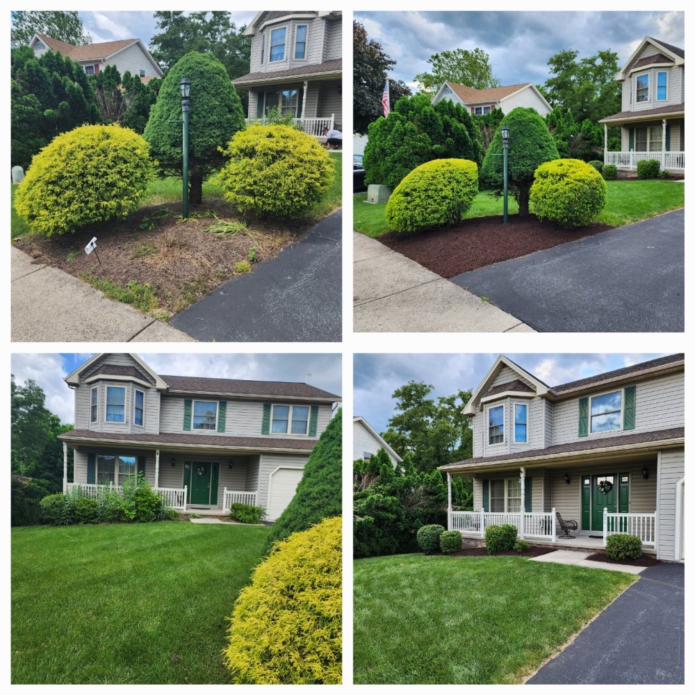 Royals Lawn Care - tree service in Harrisburg, PA