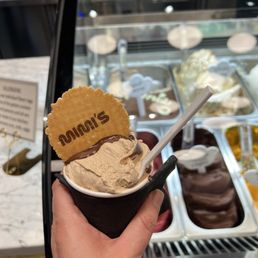 Hazelnut Hazelnut