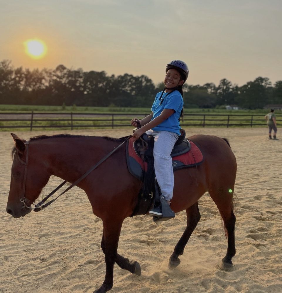 Grubb Grove Horse Farm - equestrian in Chesapeake, VA