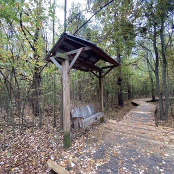 Phinizy Swamp Nature Park - Hiking Near Me - Augusta, Georgia Phinizy Swamp Nature Park - Hiking Near Me - Augusta, Georgia