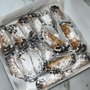 Photo of Leonardo's Italian Bakery