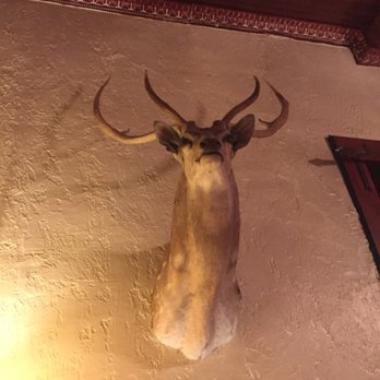 I Use Antlers In All Of My Decorating Yelp