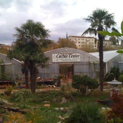 Cactus Center