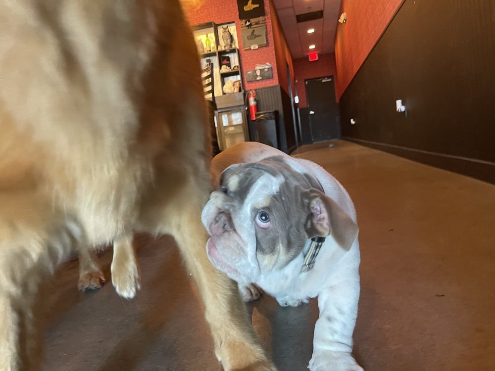 Night Owl Bar - Round Rock