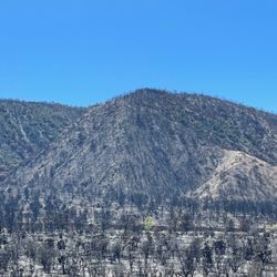 Wrightwood United Methodist Camp - The area that was burned close to the camp a couple months ago