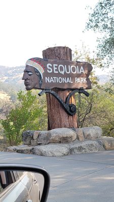 Sequoia National Forest by null