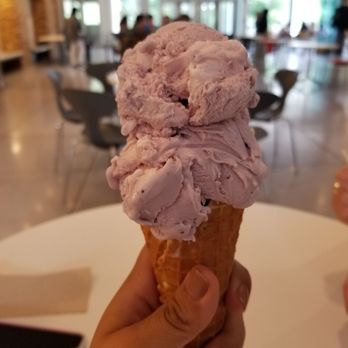 Cornell Dairy Bar - This is their small in a waffle cone! - Ice Cream & Frozen Yogurt Near Me - Ithaca, New York Cornell Dairy Bar - This is their small in a waffle cone! - Ice Cream & Frozen Yogurt Near Me - Ithaca, New York