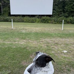 Glen Drive-In Theatre - Dog friendly!