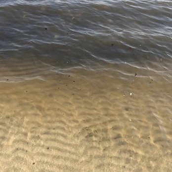 The Inn at Long Beach - Murky, jellyfish-filled ocean water. You can't get in the water, but the beach is nice... - Hotels Near Me - Long Beach, Mississippi
