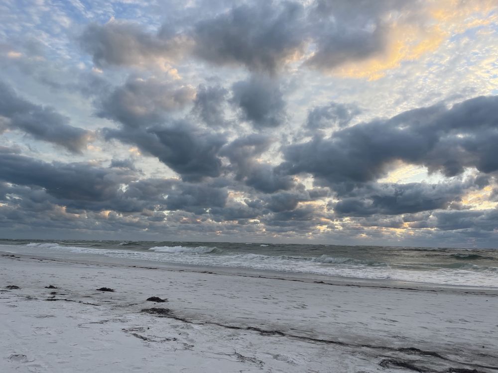 Beaches of Longboat Key - social services organization in Longboat Key, FL