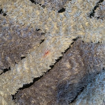 Oxi Fresh Carpet Cleaning - Stains - Carpet Cleaning Near Me Oxi Fresh Carpet Cleaning - Stains - Carpet Cleaning Near Me