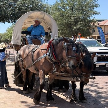 The Stockyards - Local Flavor Near Me - Fort Worth, Texas The Stockyards - Local Flavor Near Me - Fort Worth, Texas