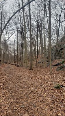 Cranberry Lake Preserve by null