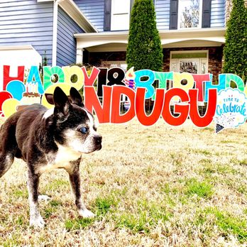Taj Ma-Hound - Our Pups deserve to be celebrated! - Pet Stores Near Me - Decatur, Georgia Taj Ma-Hound - Our Pups deserve to be celebrated! - Pet Stores Near Me - Decatur, Georgia