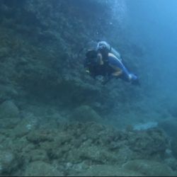 Mismaloya Adventures - Diving in Los Arcos