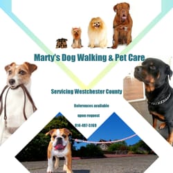 Professional Pet Care& Trainer