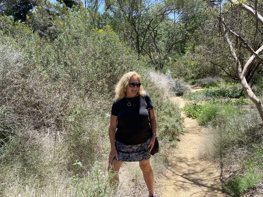 Adelaide Botanic Garden by null