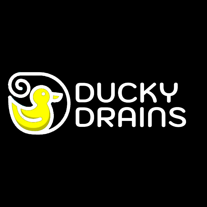 Slide of Ducky Drains