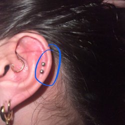 Euphoria Body Piercing & Tattoo - Obviously the two piercings that I circled are the ones I received.